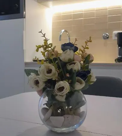 Apartman Light Brown Aveiro