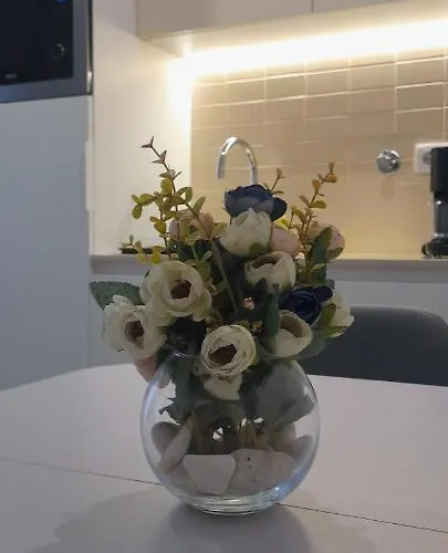 Apartment Light Brown Aveiro